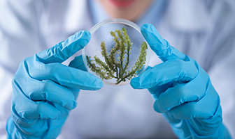 지앤비 바이오 홈페이지가 새롭게 오픈하였습니다. 많은 관심 부탁드립니다. 지앤비 바이오 홈페이지가 새롭게 오픈하였습니다. 많은 관심 부탁드립니다.